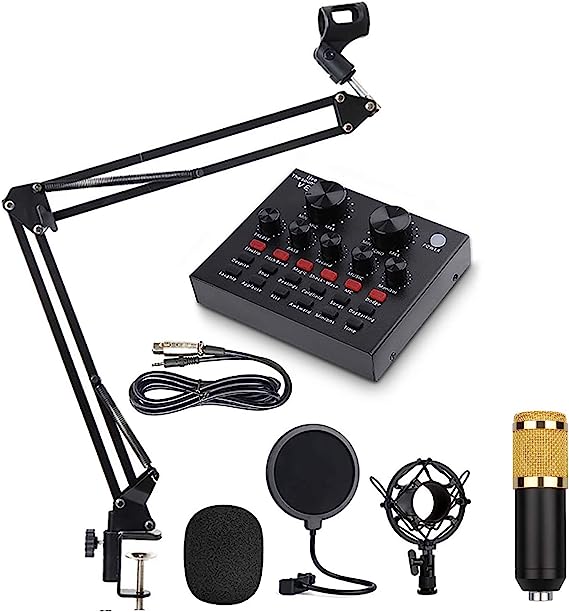 V8 Condenser Microphone